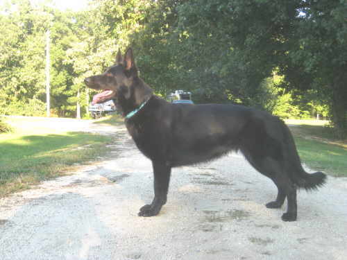 Kaida Standing